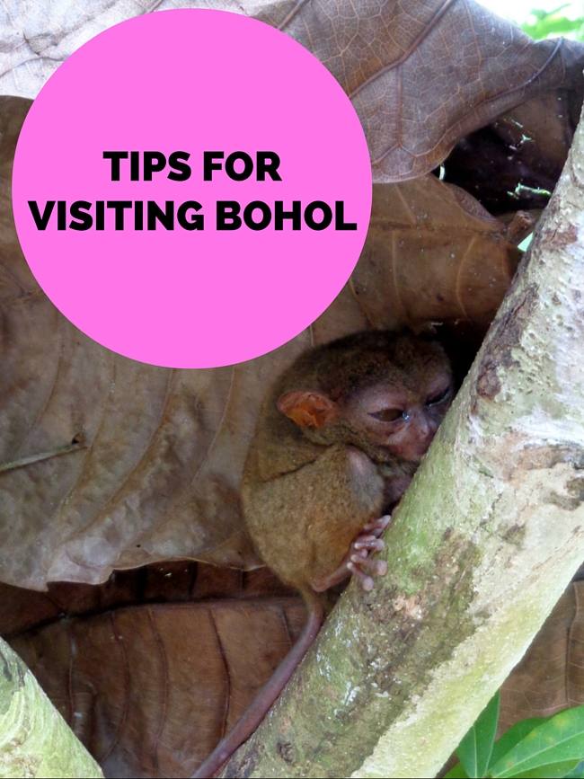 Tips for Visiting Bohol Philippines